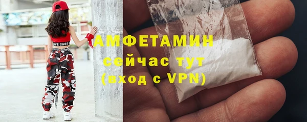 сатива Новодвинск