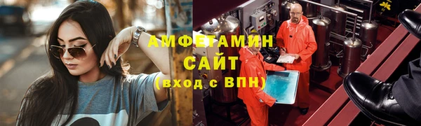 сатива Новодвинск