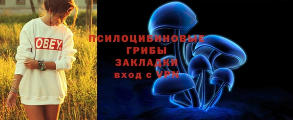 мескалин Новозыбков