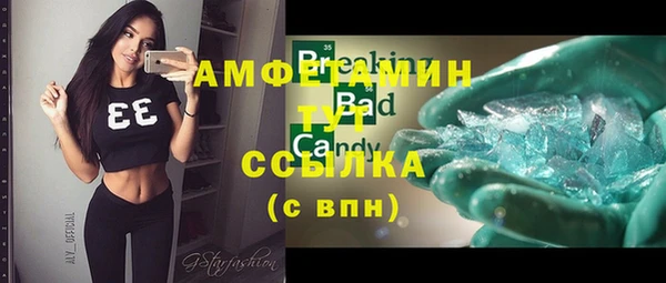 сатива Новодвинск
