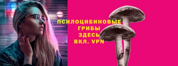сатива Новодвинск