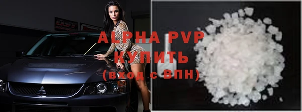 сатива Новодвинск