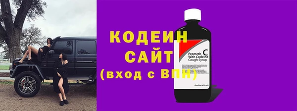 сатива Новодвинск