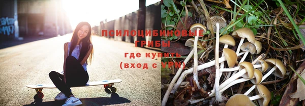 мескалин Новозыбков