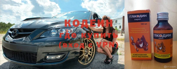 сатива Новодвинск