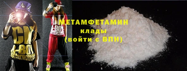 сатива Новодвинск